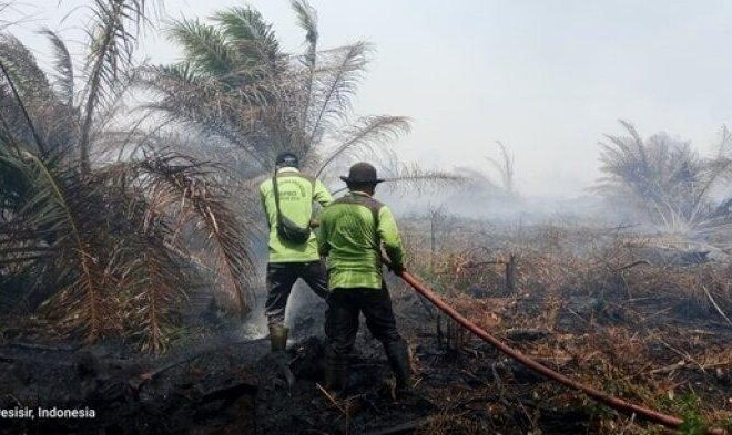 Kebakaran Lahan Gambut, Para Pemadam Kesulitan Sumber Air Untuk Memadamkan Api