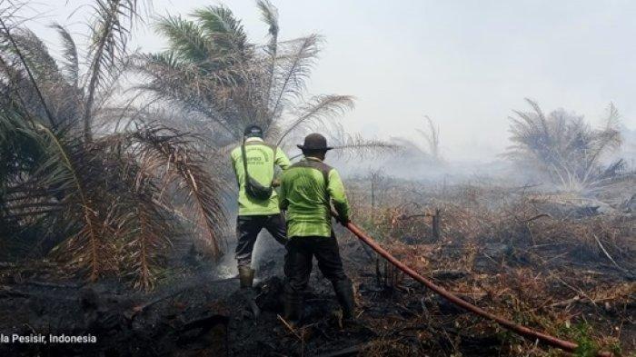 Kebakaran Lahan Gambut, Para Pemadam Kesulitan Sumber Air Untuk Memadamkan Api