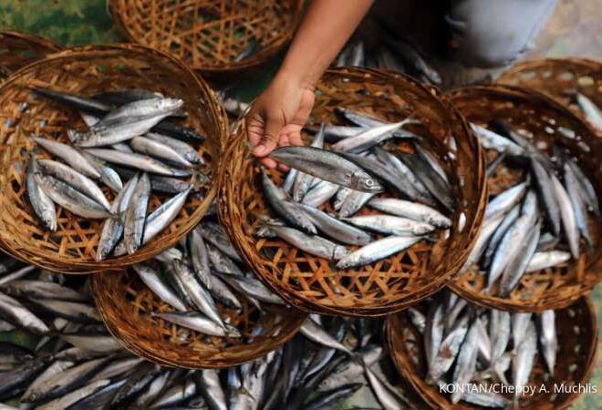 Desa Padang Panjang Mencari Potensi Karet Hingga Budi Daya Ikan