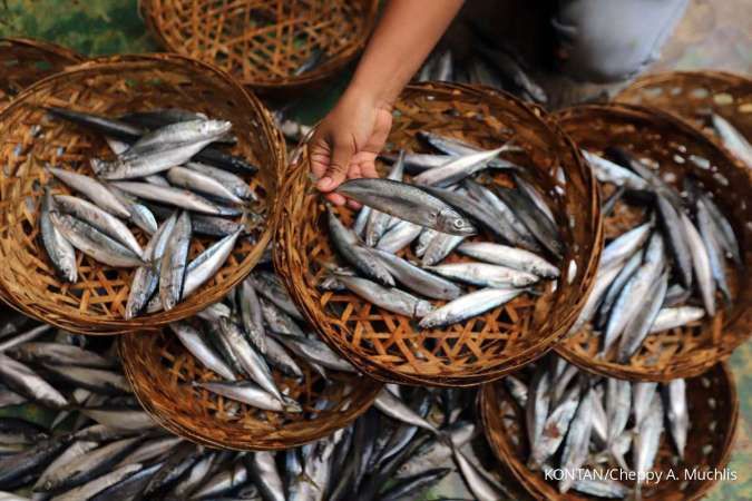 Desa Padang Panjang Mencari Potensi Karet Hingga Budi Daya Ikan